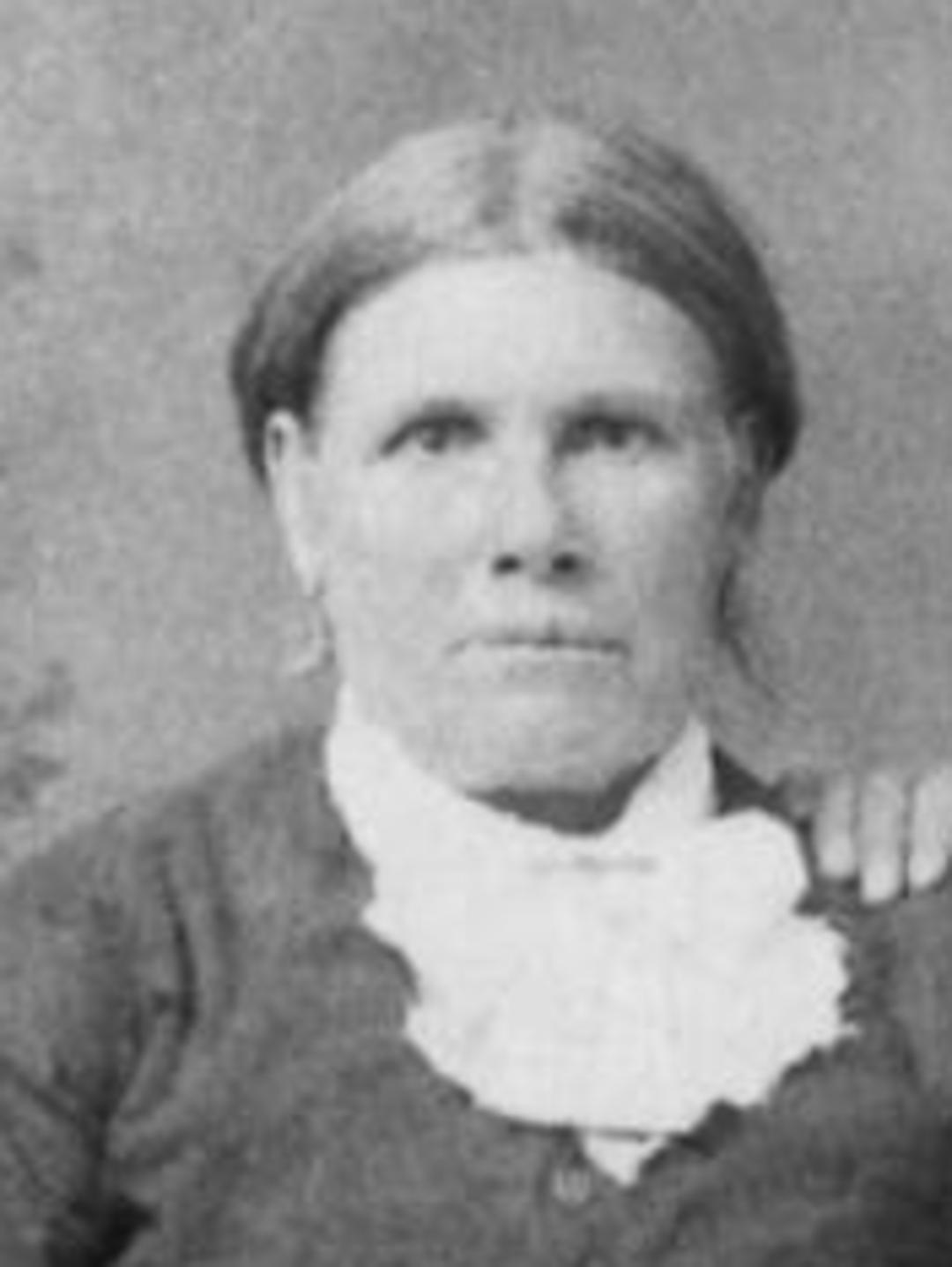 Mary Jane Wilson (1846 - 1908) Profile